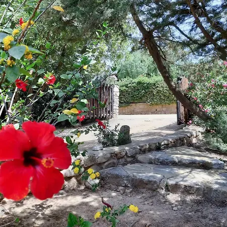 Ferula, Serr'e Morus Villa Villasimius