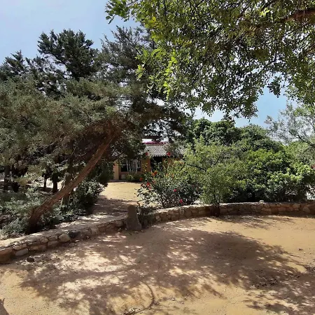 Villa Ferula, Serr'e Morus *
