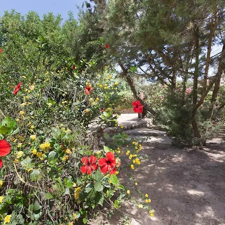 Ferula, Serr'e Morus Villa Villasimius