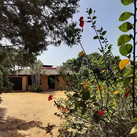 Ferula, Serr'e Morus Villa Villasimius